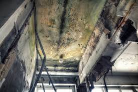 Best Asbestos and Lead Testing During Mold Inspection  in San Marino, CA